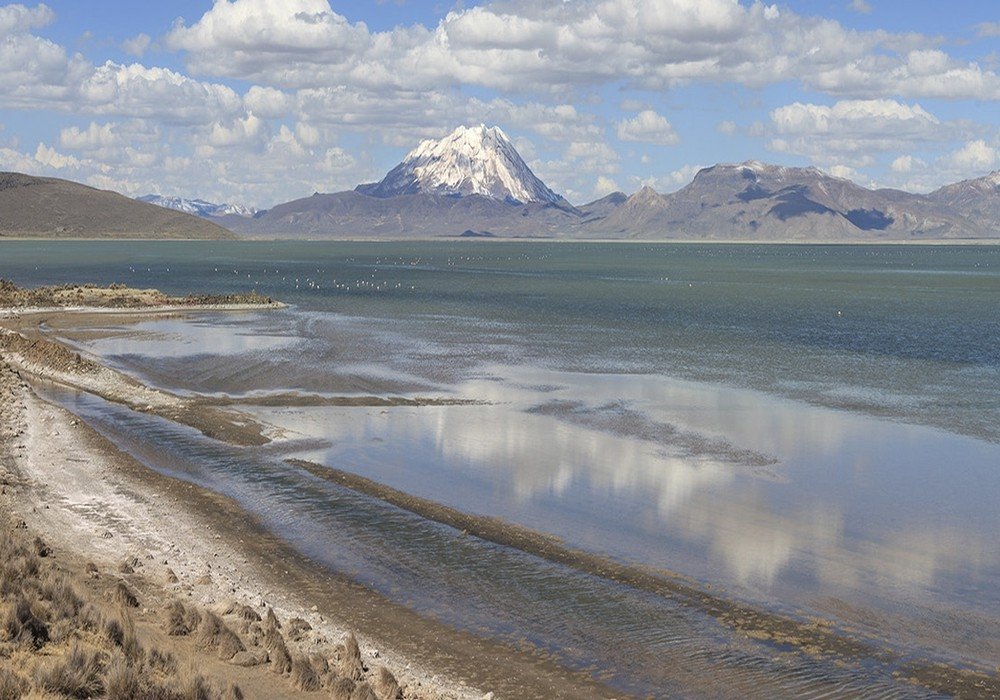 Colca Canyon & Andean Culture