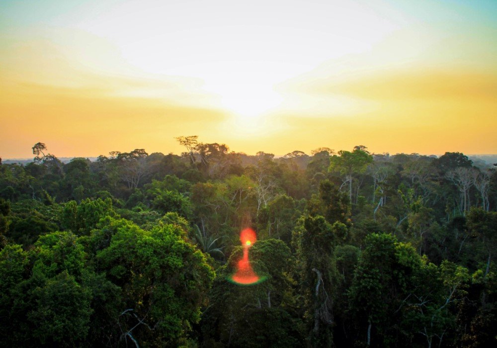 Cusco to Amazon Trip