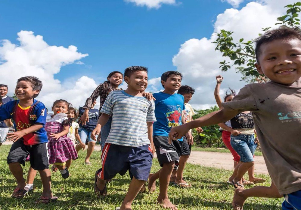 Delfin I Cruise to Pacaya-Samiria Reserve