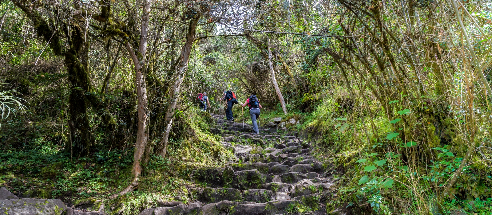 Short Inca Trail to Machu Picchu – Private