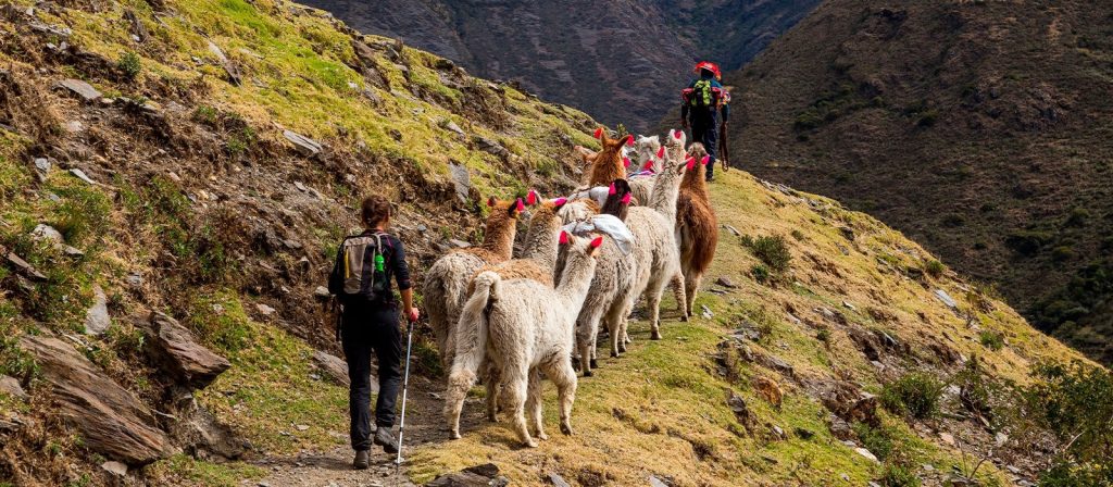 Lares Trek to Machu Picchu