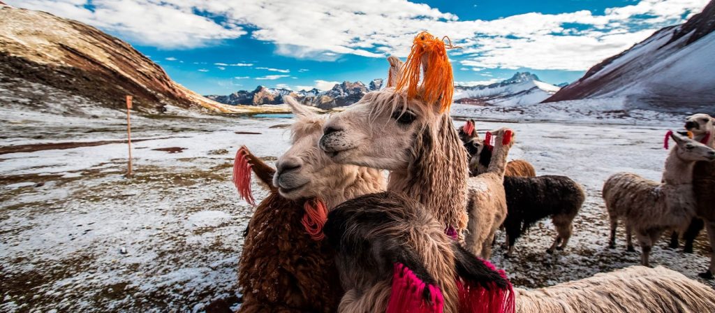 Ausangate, Rainbow Mountain to Machu Picchu