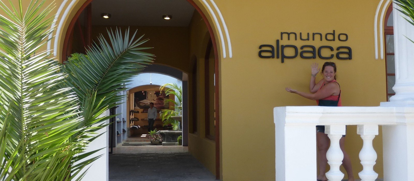 Factory Mundo Alpaca