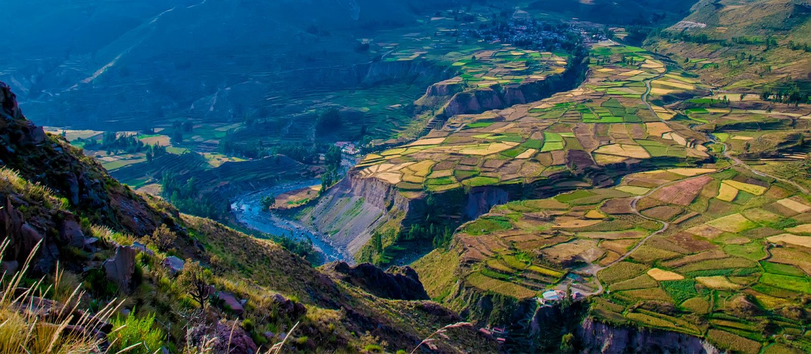 Views of Colca Canyon and Andean Condors