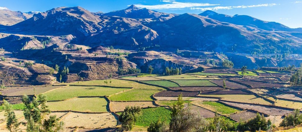 Colca Canyon & Andean Culture