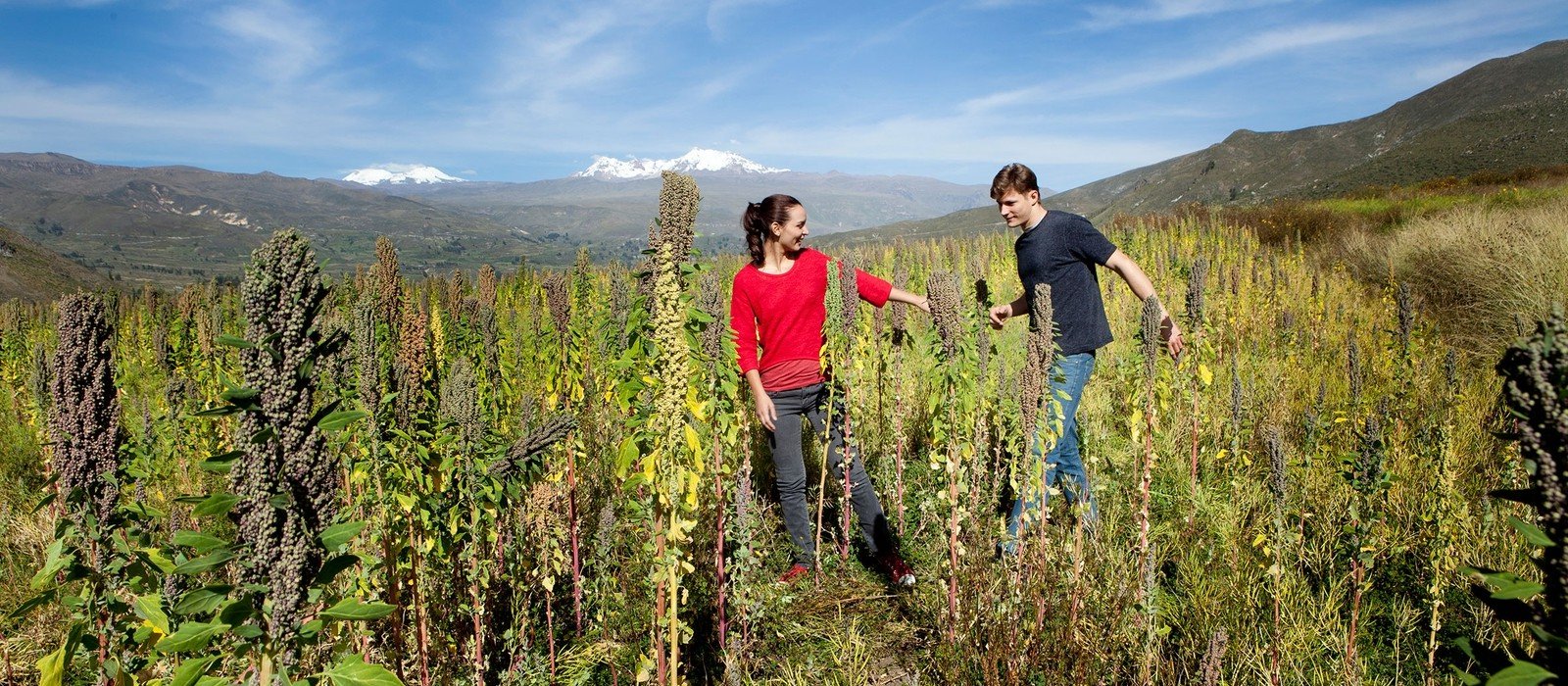 Colca Canyon & Andean Culture