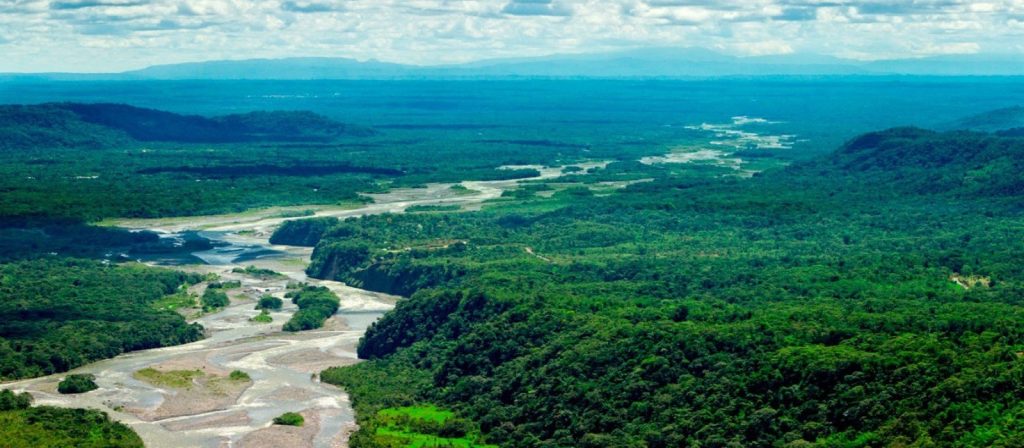 Posada Amazonas / Refugio Amazonas