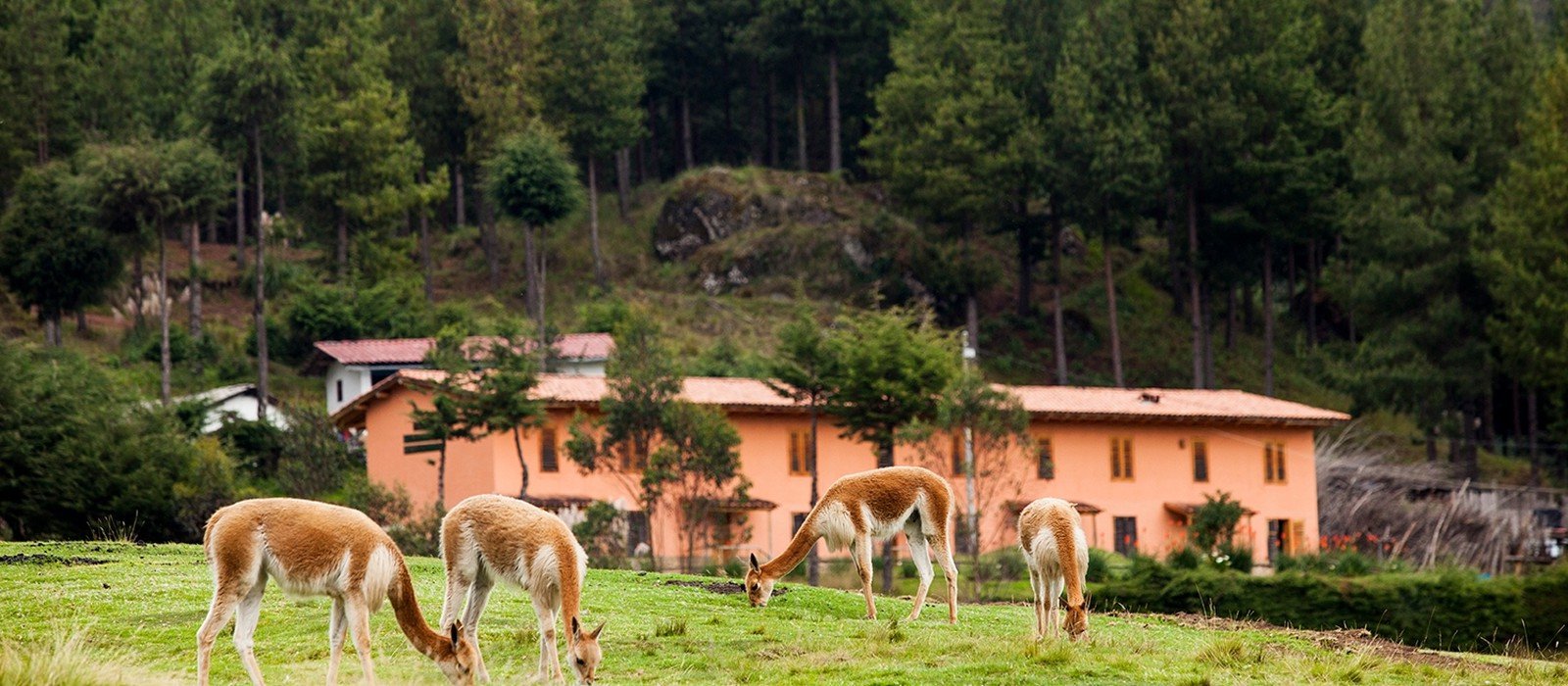 Granja Porcón Community Farming Experience