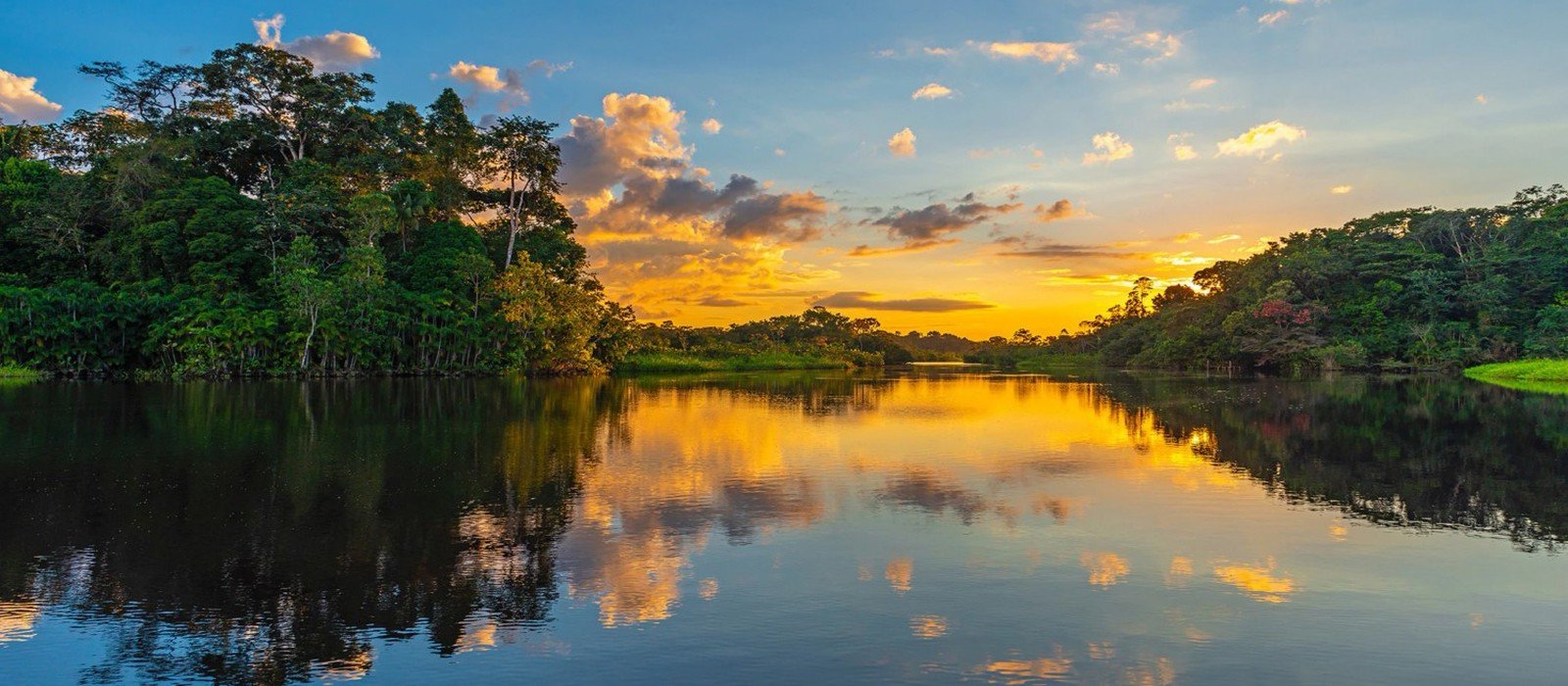 Delfin II Amazon River Cruise