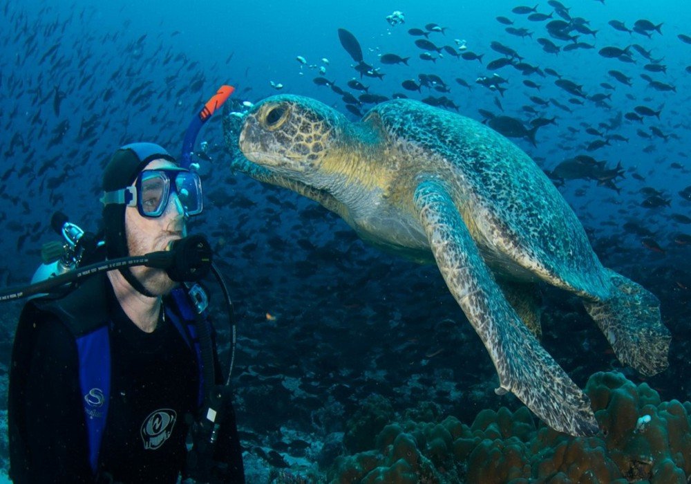 Galapagos from Guayaquil