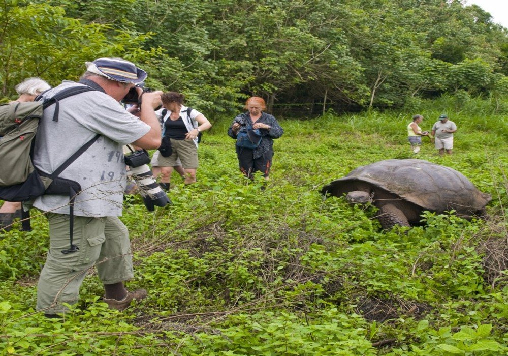 Galapagos from Guayaquil