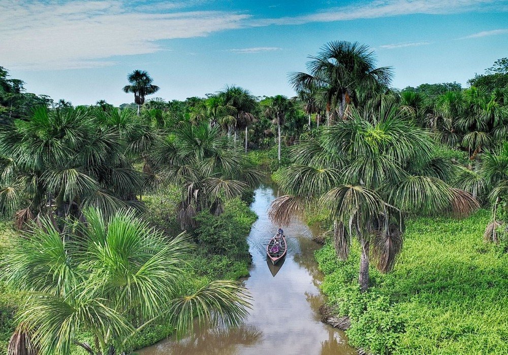 Gamitana River, Visit to Local Family and Botanical Garden