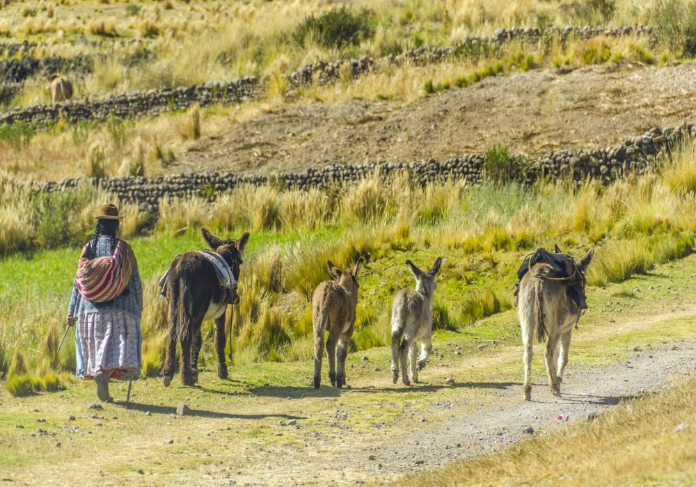 Islands of Lake Titicaca (Uros, Taquile & Amantani)