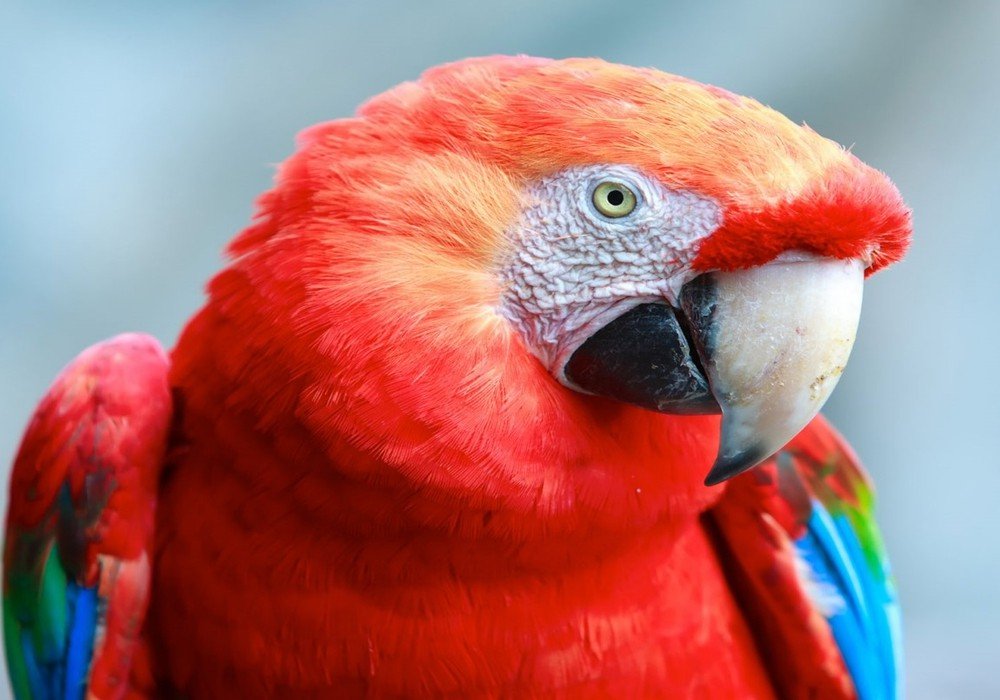 Lake Apu Victor and Monkey Island