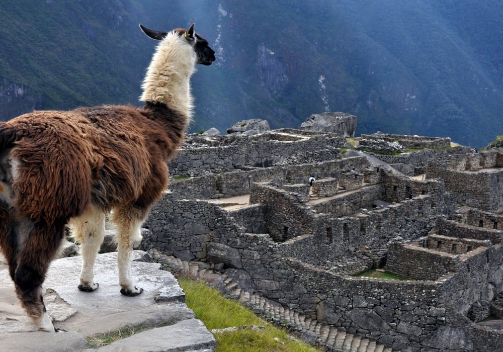 Lares Trek to Machu Picchu – Not Accommodation
