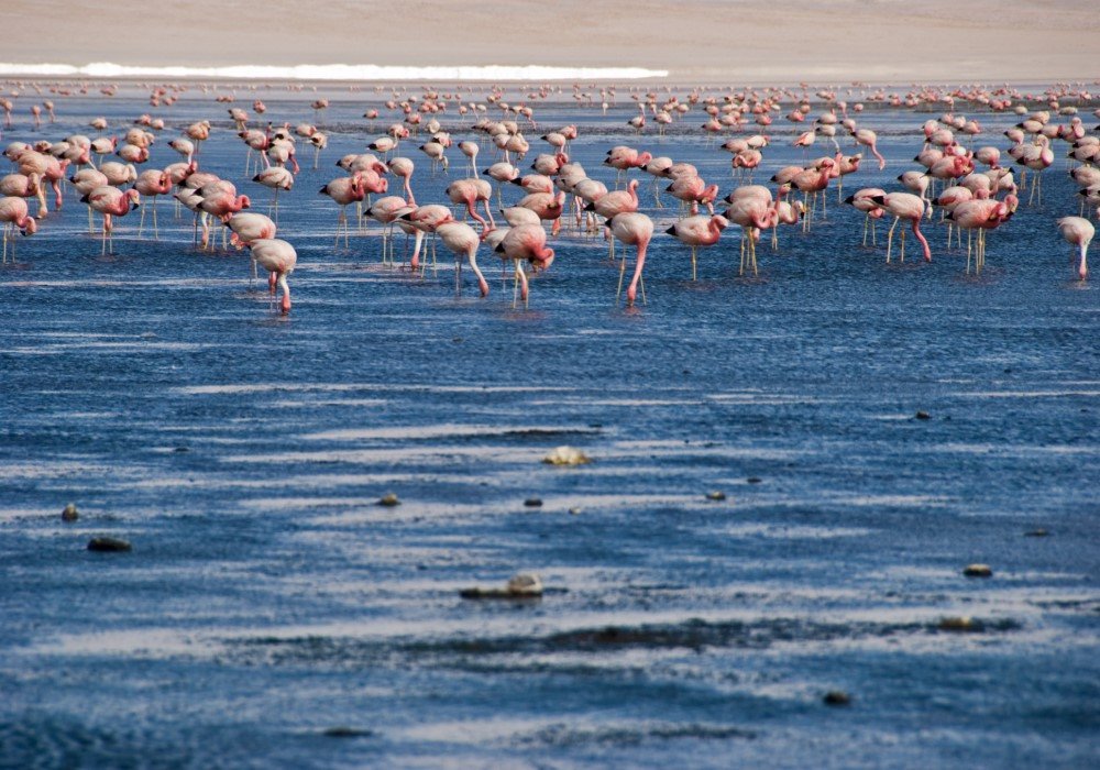 Sun Island, La Paz & Uyuni
