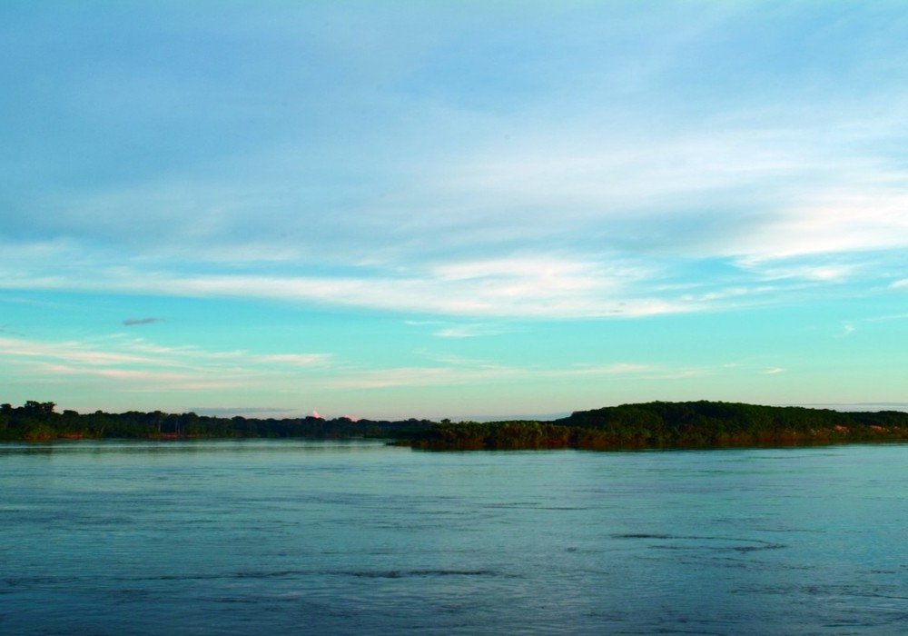 Wetlands, Orchard and Palmetum