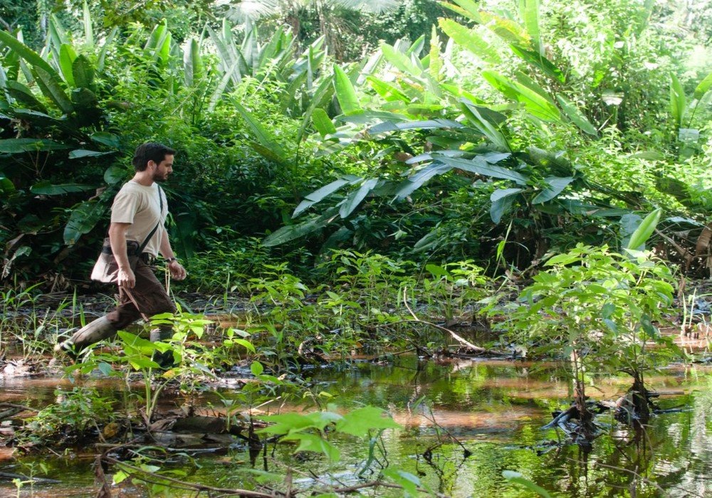 Wetlands, Orchard and Palmetum